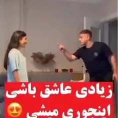 شبگرد