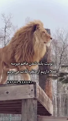 بهنام ملنگ 