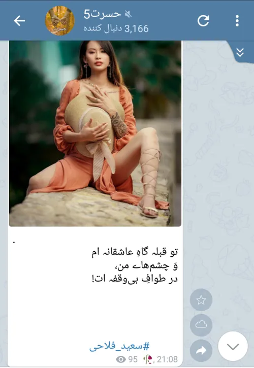 سعید فلاحی