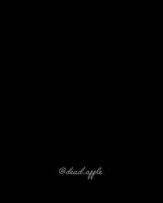 لایو اکشن سگ های ولگرد بانگو 