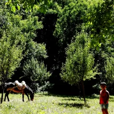 سهند جان در طبیعت زیبای دامنه های سهند😍