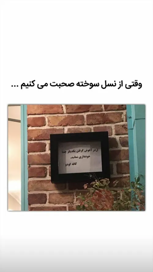 نسل سوخته...