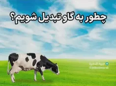 من گاو بودم که🤦🏻‍♀️🧠