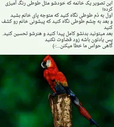 خیلی جالبه