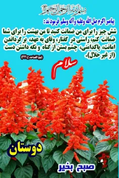 مذهبی salamonalaikom 34415545