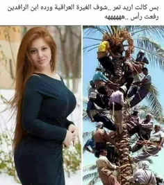 تمااام