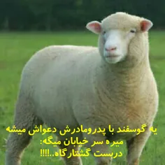 یه گوسفند با پدر و مادرش دعوا میشه