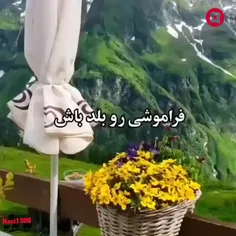 دلت را به دلِ خیابان بزن