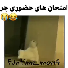 هعی🥲