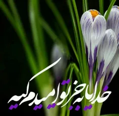 گوناگون mohammadreza.yekani 19879652