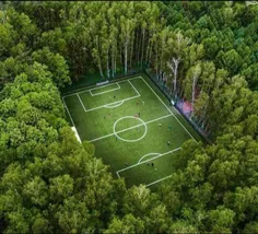 زمین فوتبال در قلب جنگلهای مسکو