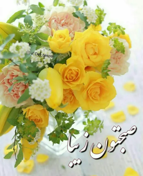 ‍ ‍ ايــن گلهاى زيبا تــقدیم به 🌼