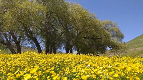 کوه چرخلان. طبیعت طبیعتگردی