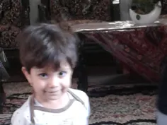 گوناگون babo 1083124