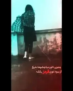 فالو یادتون نره