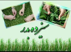 سالهاست برای رسیدنمان،سبزه هارا گره میزنیم؛افسوس!نه دست ه