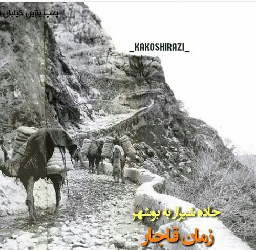 جاده شیراز بوشهر