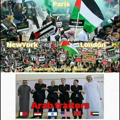 Paris says “Free Palestine” 