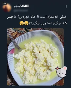 ما بهش میگیم شیرِیژ😁