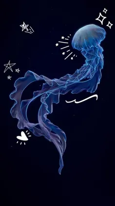 برادرا سلامممم
