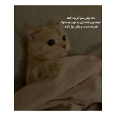 #خنده