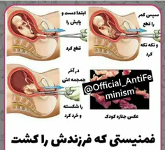 هر سال 60 میلیون کودک توسط فمنیست ها کشته میشود...