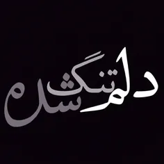 دلم تنگ شده