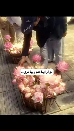 تو زیبایی (پارت هشتم) 