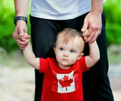 دولت کانادا برای تولد فرزند سوم معادل 26 میلیون تومان هدی
