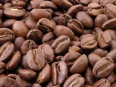 دانه های بو داده قهوه