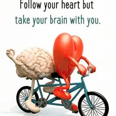 از #قلبت پیروی کن اما #عقلت رو با خودت ببر