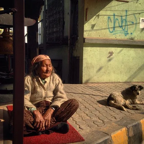 An Elderly Nepalese woman enjoys the winter sun as a dog 