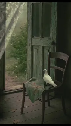 کمی آرامش مهمون شما