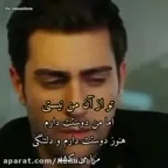 گاهی آدم به جایی می رسد که دست به خودکشی می زند