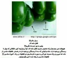 اینم واسه آشپزای عزیز