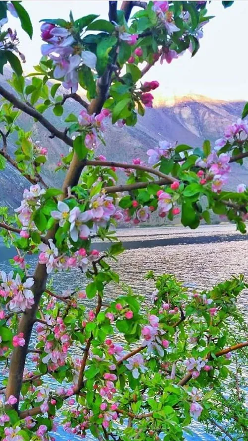 ایران زیبا دریاچه گهر دورود لرستان