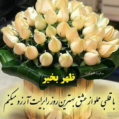  shirazish 56667062 - عکس ویسگون