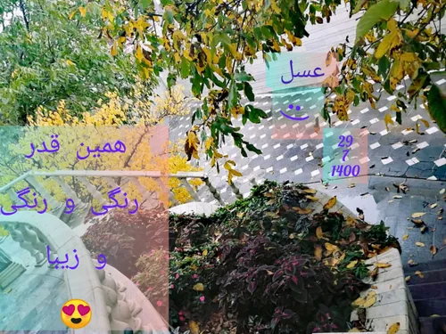 به زندگی سلام کن 😀🌼🍃🍂🌼🍁