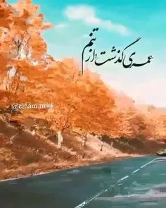 بدون شرح