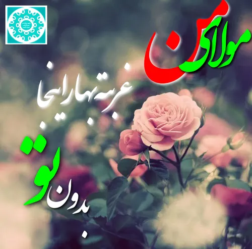 مجنون شدم که راهی صحرا کنی مرا