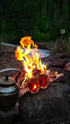 هرجا که رفتی یادت نره 