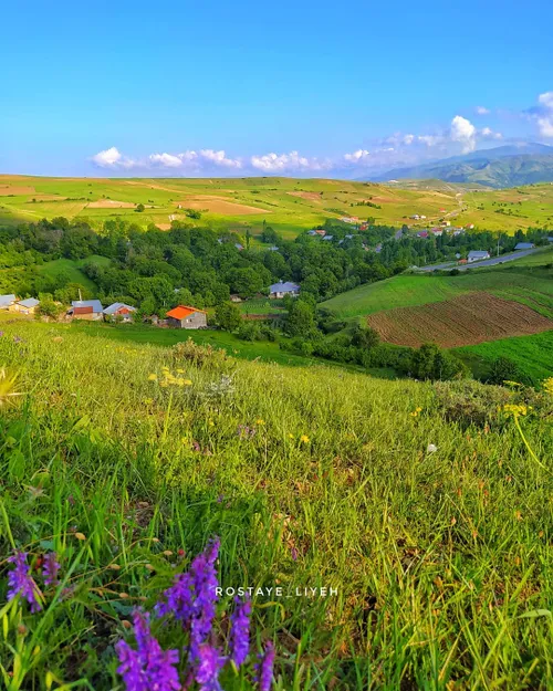 deylaman طبیعت دیلمان روستای لیه