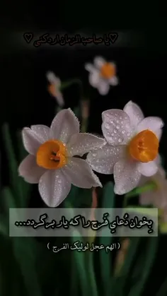 🌷السلام_علیک_یابقیةالله
