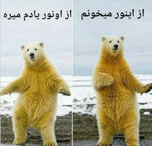 وضعیت این روزای من 😂 😂 😂 دوپس دوپس طنز درس