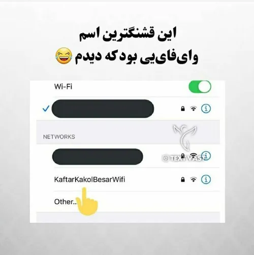 کفتر کاکل به سر وایی وایی😂😂