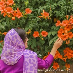 مرا که شانه‌ام 