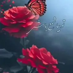 قول میدم بهت😘😍