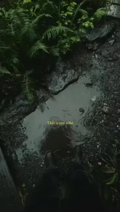 یا حداقل This my favorite vibe.