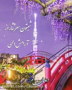 🌺‍ #نیایش_شبانگاهی