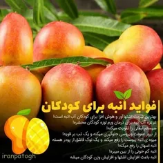 فواید انبه برای کودکان میوه انبه مورد علاقه بسیاری از کود